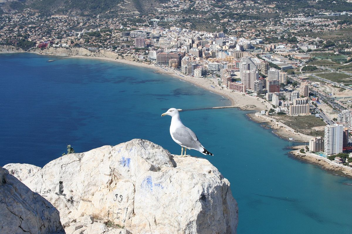 Laderas de Calpe desde el Peñón